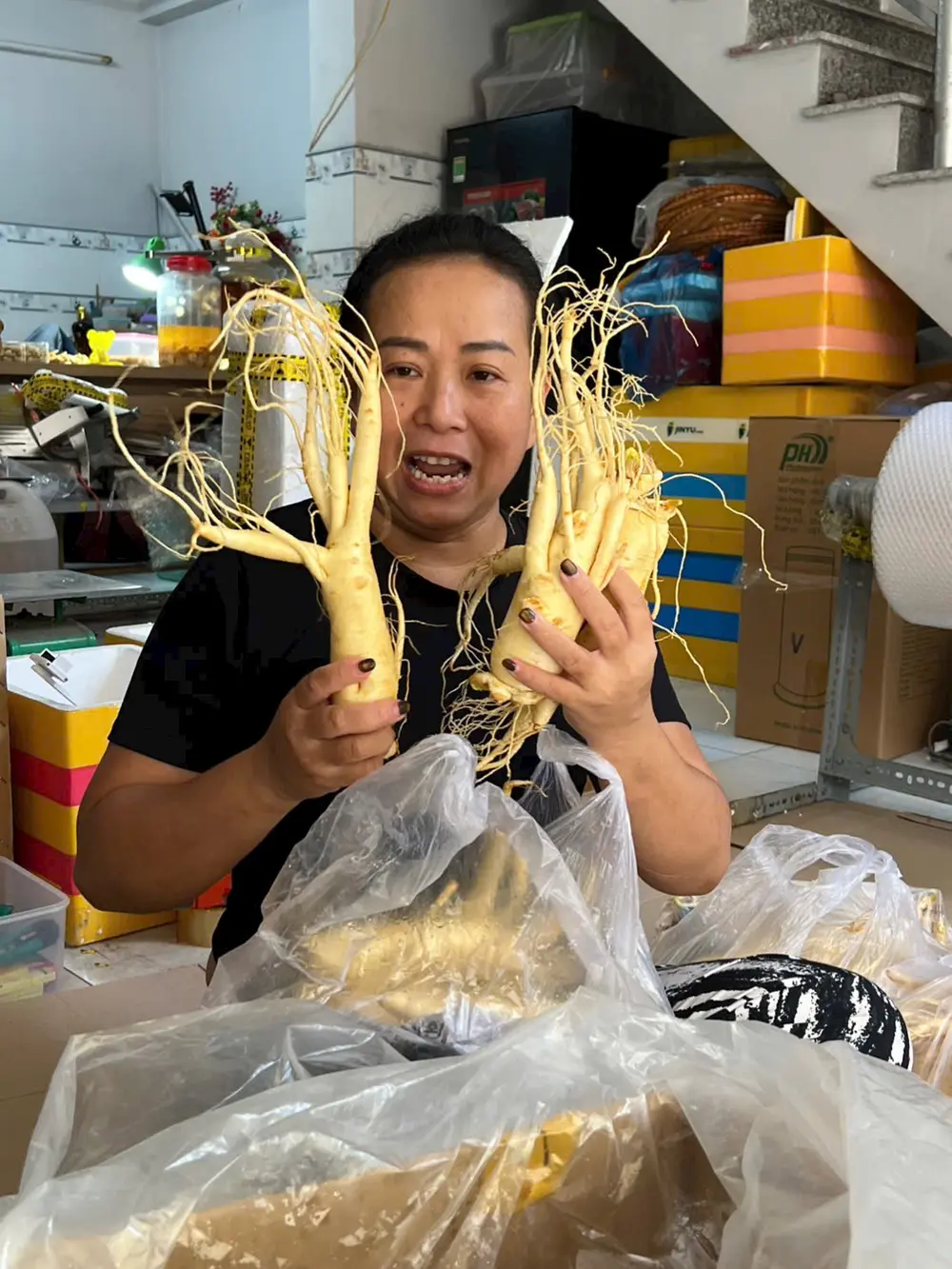 Đặng Thư lựa chọn củ sâm để chế tác theo yêu cầu